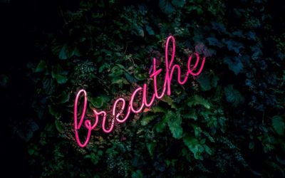 How to Reduce Burnout and Foster Employee Well-Being – Part 3: BREATHE Program for Individuals